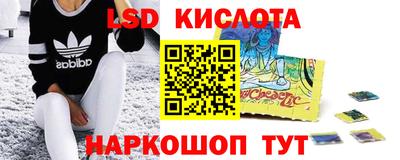 стафф Заводоуковск