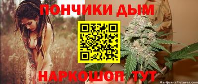 стафф Заводоуковск