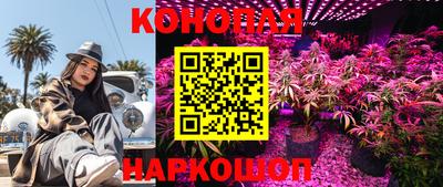 стафф Заводоуковск