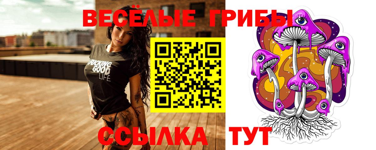 Галлюциногенные грибы мухоморы  Галлюциногенные грибы GOLDEN TEACHER  Вход с VPN  Кувандык 